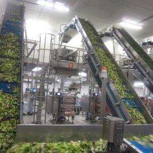 Elevatore a bilancia