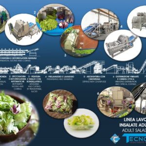 Lavorazione mix insalate adulte