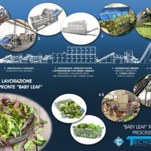 Lavorazione insalate fragili (baby leaf)