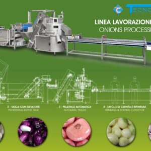 Pelatura cipolle ed aglio