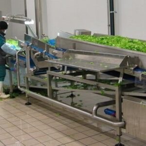 Polmone sbattitore cernita